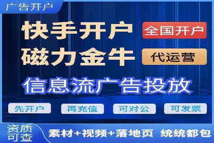 竞价广告在XX行业的成功应用案例